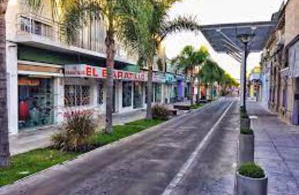 Opiniones de Agencias de alquiler de autos en la provincia de Flores